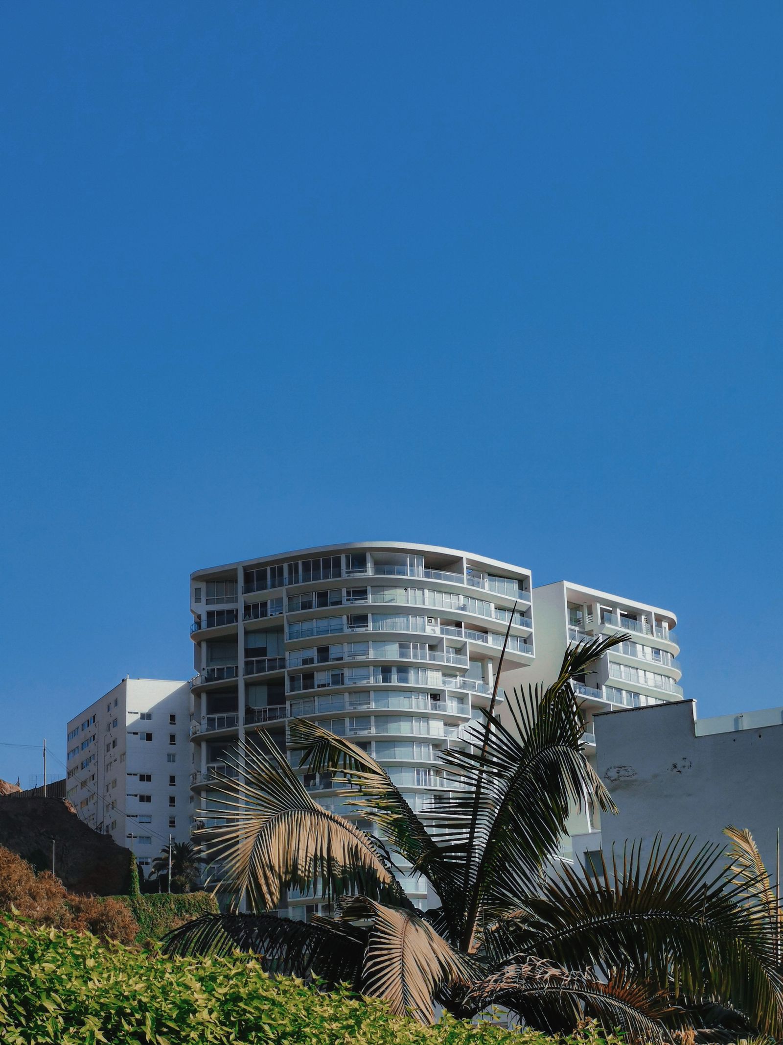 Apartment buildings framed by palm trees under warm Caribbean light in the Dominican Republic.